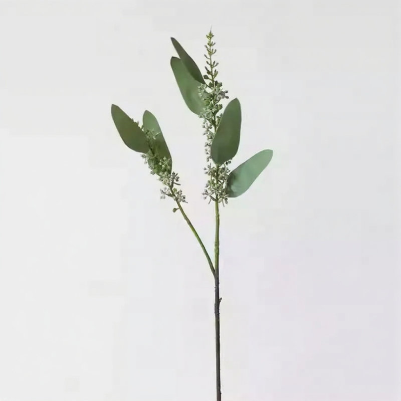 Tige d'eucalyptus ensemencé - 22,8 po, [D] 12 Stems
