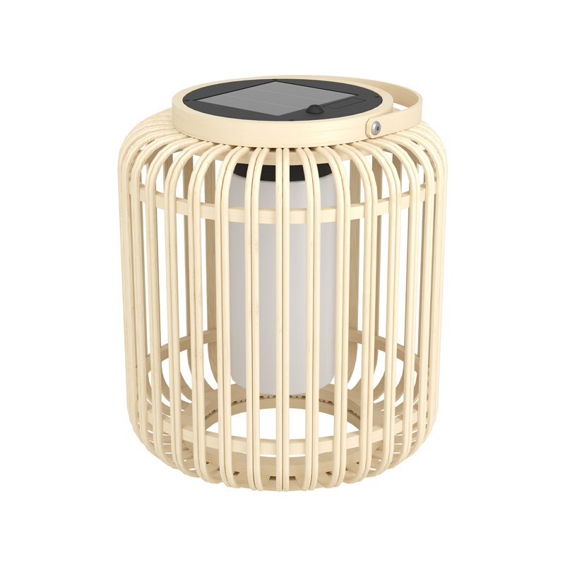 Ellasyn Stainless Steel Novelty Lamp