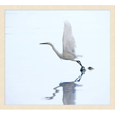 «Coastal Morning», reproduction de photo sur verre encadrée