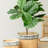 Set Of 2 Rectangular Basket Planters With Geometric Trim, L:10.5X8.5X8" S:7.5X5.5X6.5"