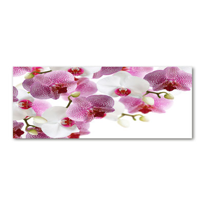 Orchid - Wrapped Canvas Print