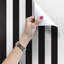 Laylaann 2.5m x 1.04m Matte Mural-102007975