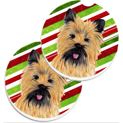 Multicolore Cairn Terrier
