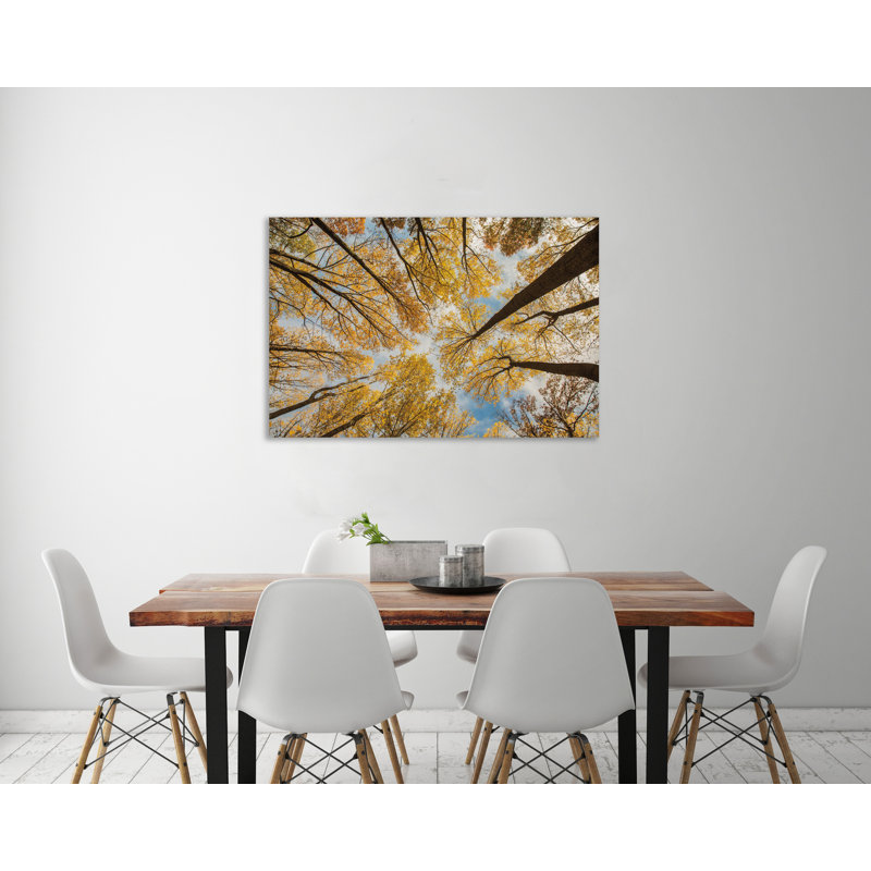" Towering Trees III " by Aledanda, 28" H x 42" W x 1.5" D