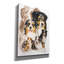 «Australian Shepherds» par Barbara Keith, peinture sur toile tendue