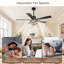 132 cm Ceiling Fan with Light Kit