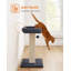 Scratching Post-105590340