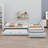Upholstered Double Daybed With Trundle And Drawer