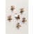 Sable beige et blanc