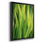 Blades of Grass II - peinture à cadre unique-1661991475-1661991477