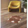 Hecate Animal Print 155cm X 190cm Area Rug