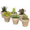 4'' Faux Succulent in Ceramic Pot