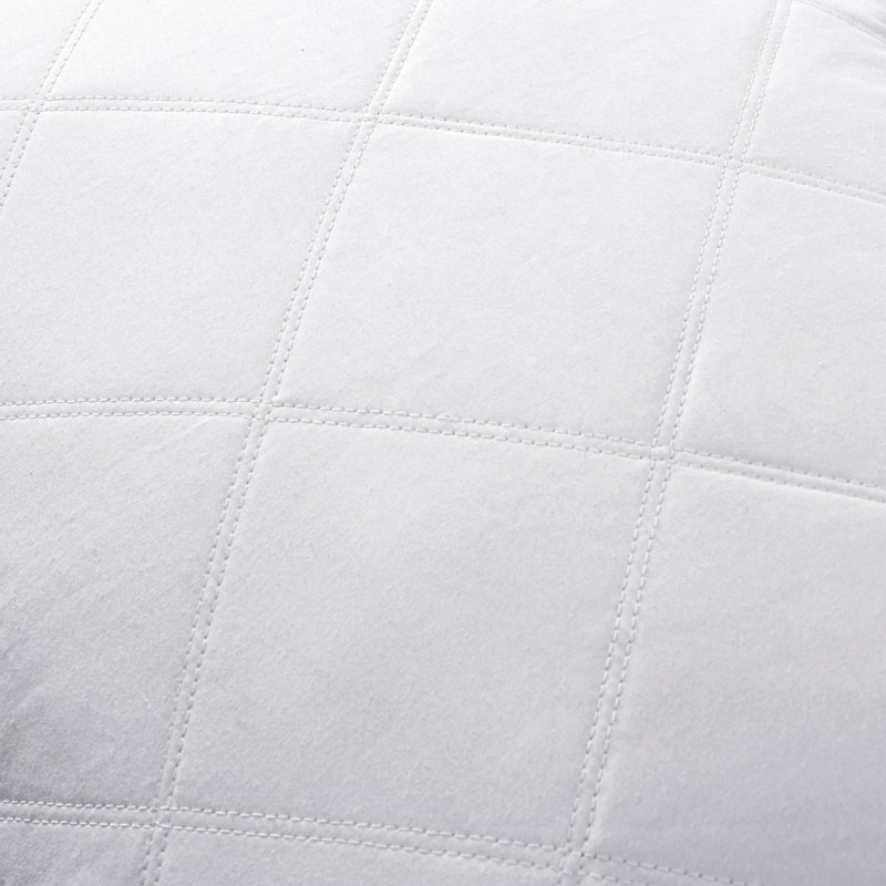 Coussin Goose Feather, Standard