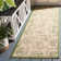 Darryl-James Performance Floral Indoor/Outdoor Area Rug