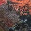 Gilroy Patchwork Area Rug-1183394524