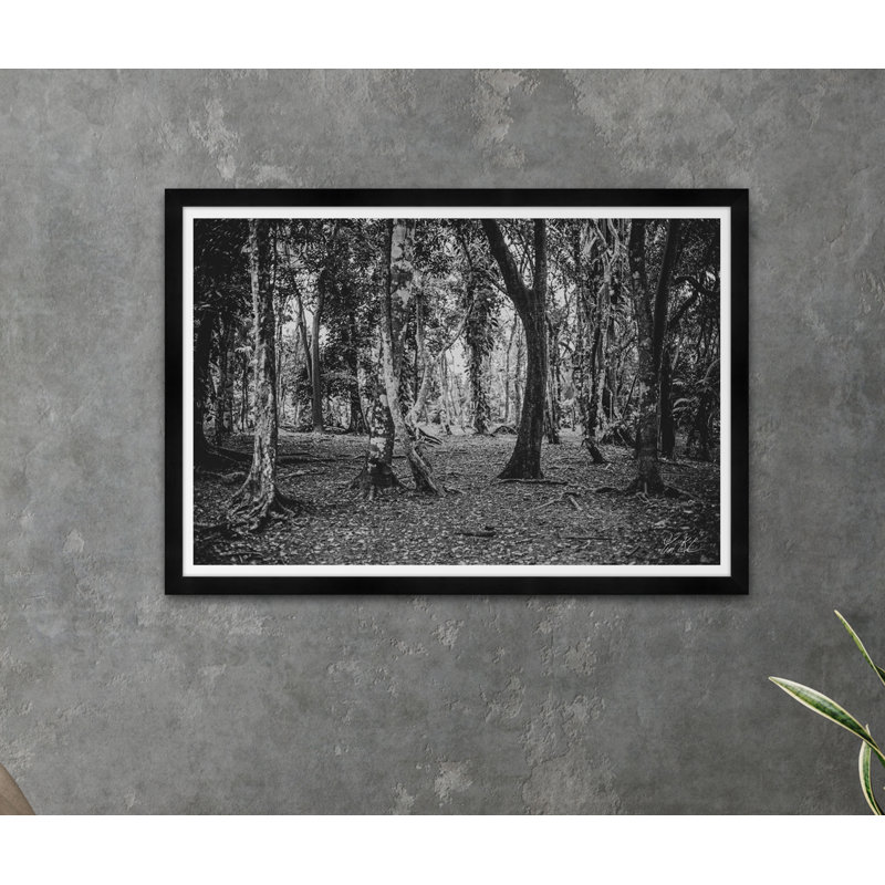 Forêt - Photographie avec cadre photo