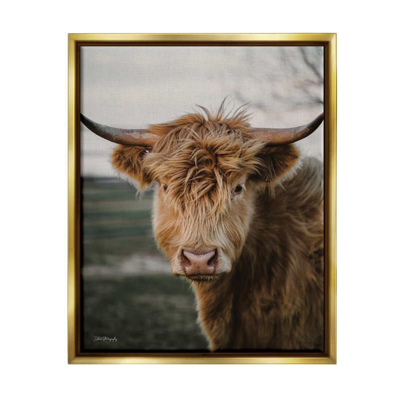 Highland Cow par Dakota Diener, H 21 po x l 17 po x P 1,7 po, Cadre flottant noir de jais