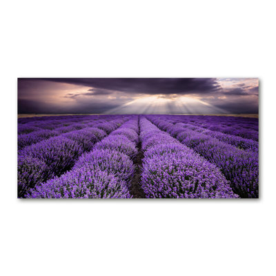 Lavender Field - Wrapped Canvas Print