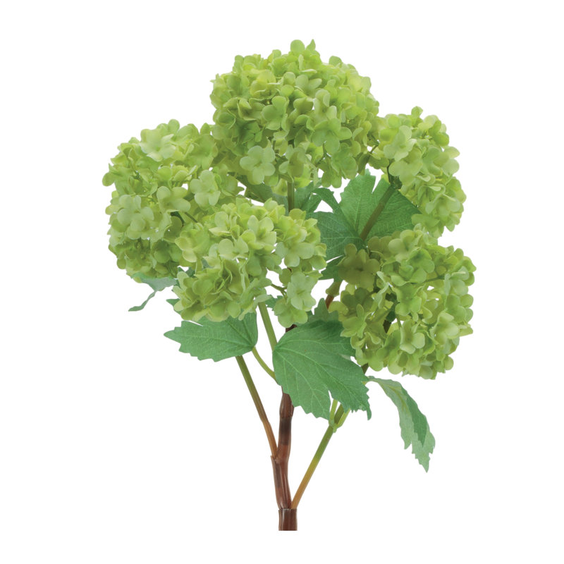 Vaporisateur d'hortensia floral, Vert