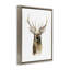 Portrait de cerf, aquarelle-378949373-384326678