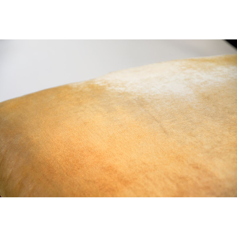 Square Pillow Cover & Insert, Gold/Beige, Square 26"
