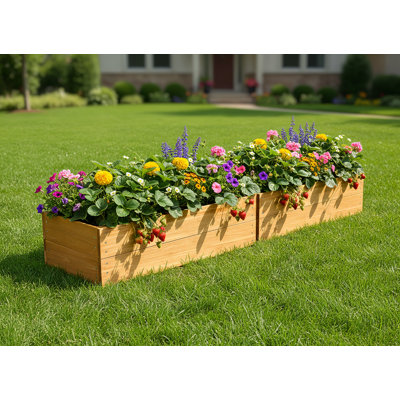 Ensemble de 2 jardinières en bois de sapin massif surélevé avec doublure