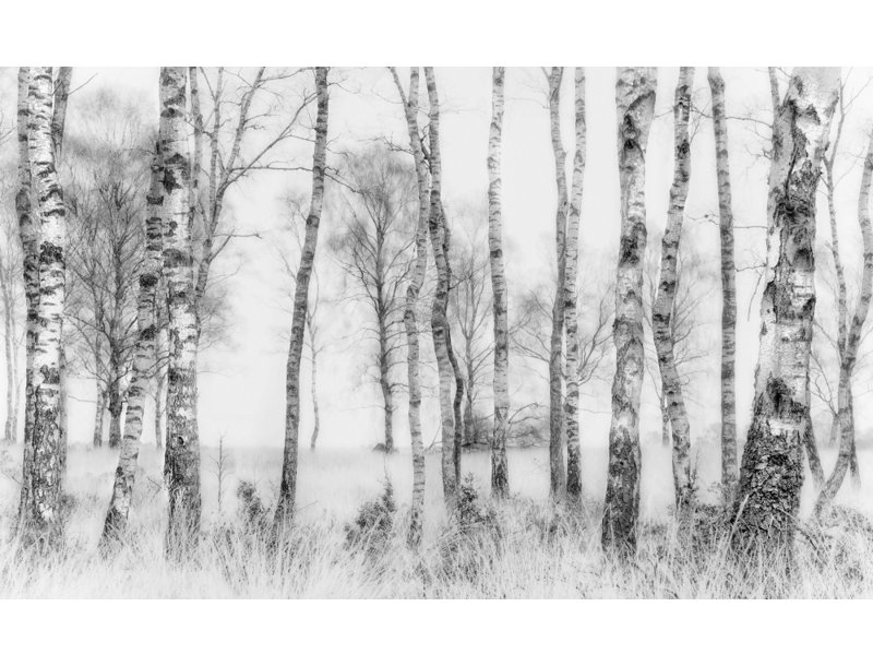Wrapped Canvas Print, 81.28 cm H x 121.92 cm W