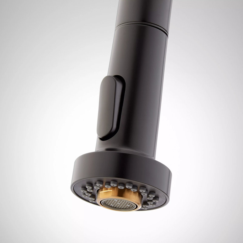 Ridgeway Single Handle Pull-Down Kitchen Faucet with Deck Plate, Brushed Gold/Matte Black