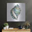«Aquarelle Shells 1» par Chariklia Zarris, art mural en métal-1127880712