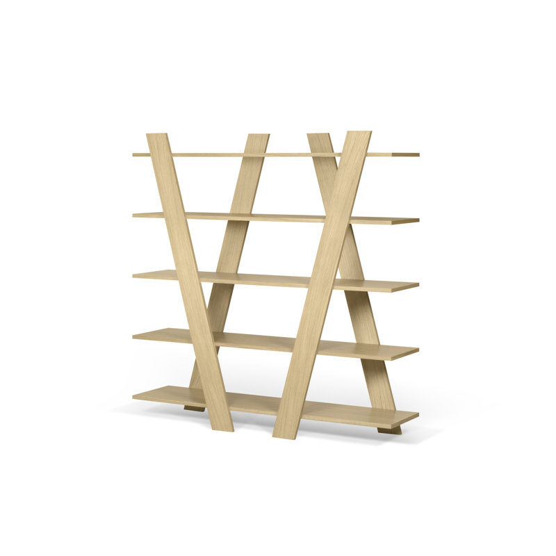 Xander 160 cm H x 156 cm W Etagere Bookcase