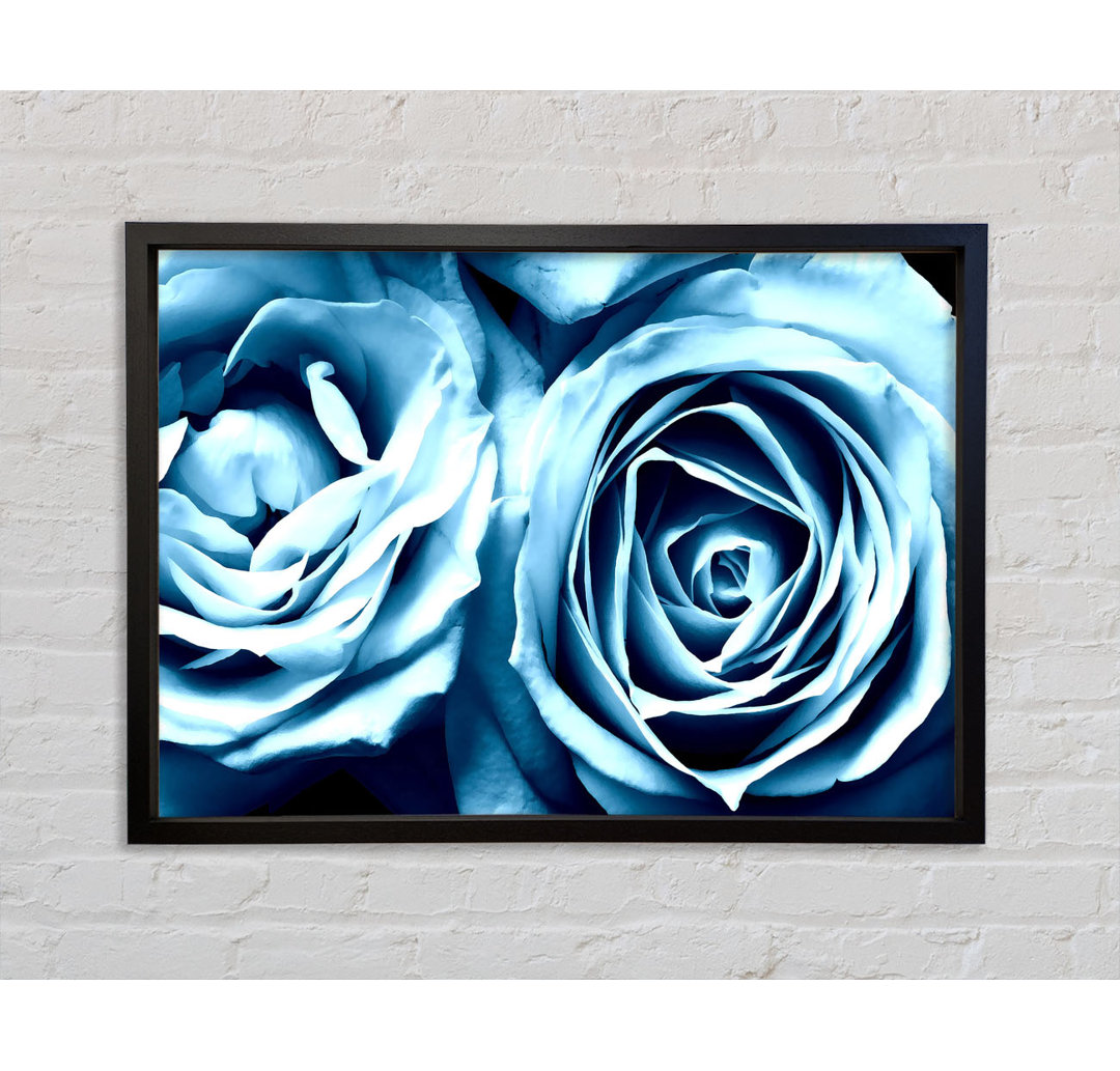 Gerahmtes Leinwandbild Twin Blue Roses