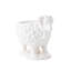 Clever Creatures Ram Bowl
