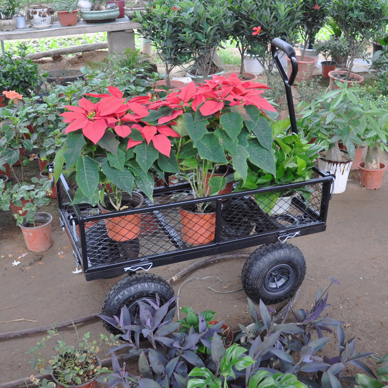Les chariots de chariot de jardin de chariot de chariot facilitent le transport du bois de chauffage Tc1840bkg