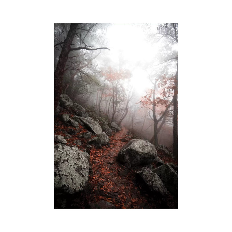 Moody Forest by Lucas Moore - Wrapped Canvas Print, 20.32 cm H x 30.48 cm W