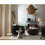 Strata Lounge Chair