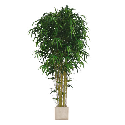 150cm Bamboo Tree in Planter