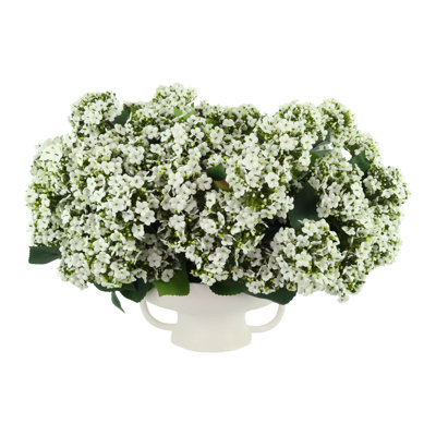 Budding Hydrangeas in Ceramic Vase