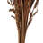 36" Bahia Spears with Seeds, Dried-388033223