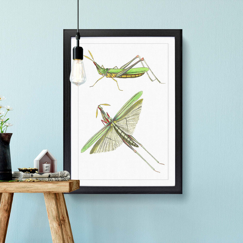 Green Locust by George Shaw - Framed Print, 48cm H x 36cm W x 2cm D, Black Framed