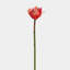 Waratah Protea Faux Floral-387507834-387507837