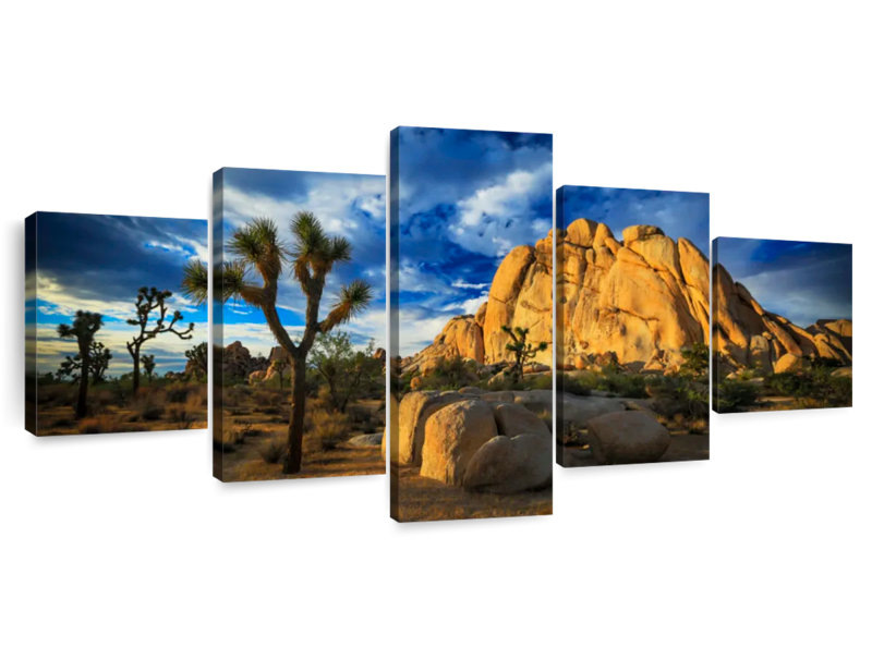 Joshua Tree Park Old Woman Rock