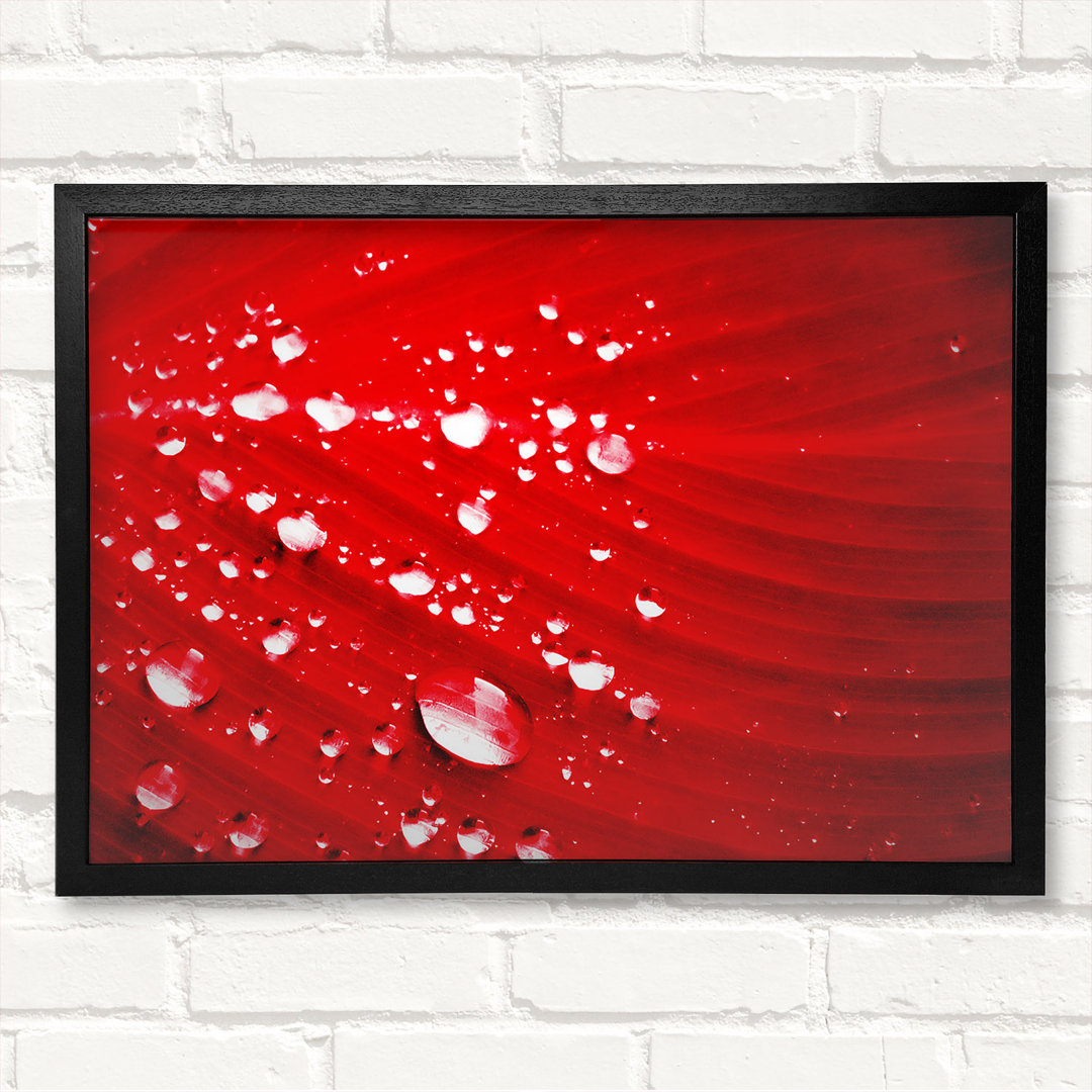 Gerahmter Kunstdruck Red Water Droplets