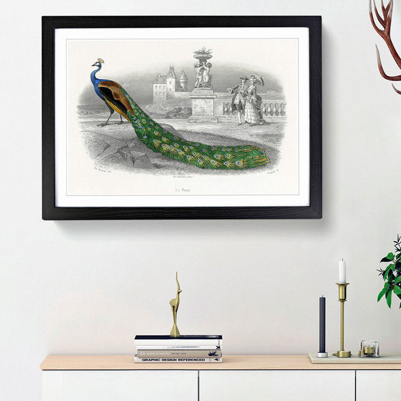 Admiring a Peacock - Framed Print, Black Framed, 62cm H x 87cm W x 2cm D