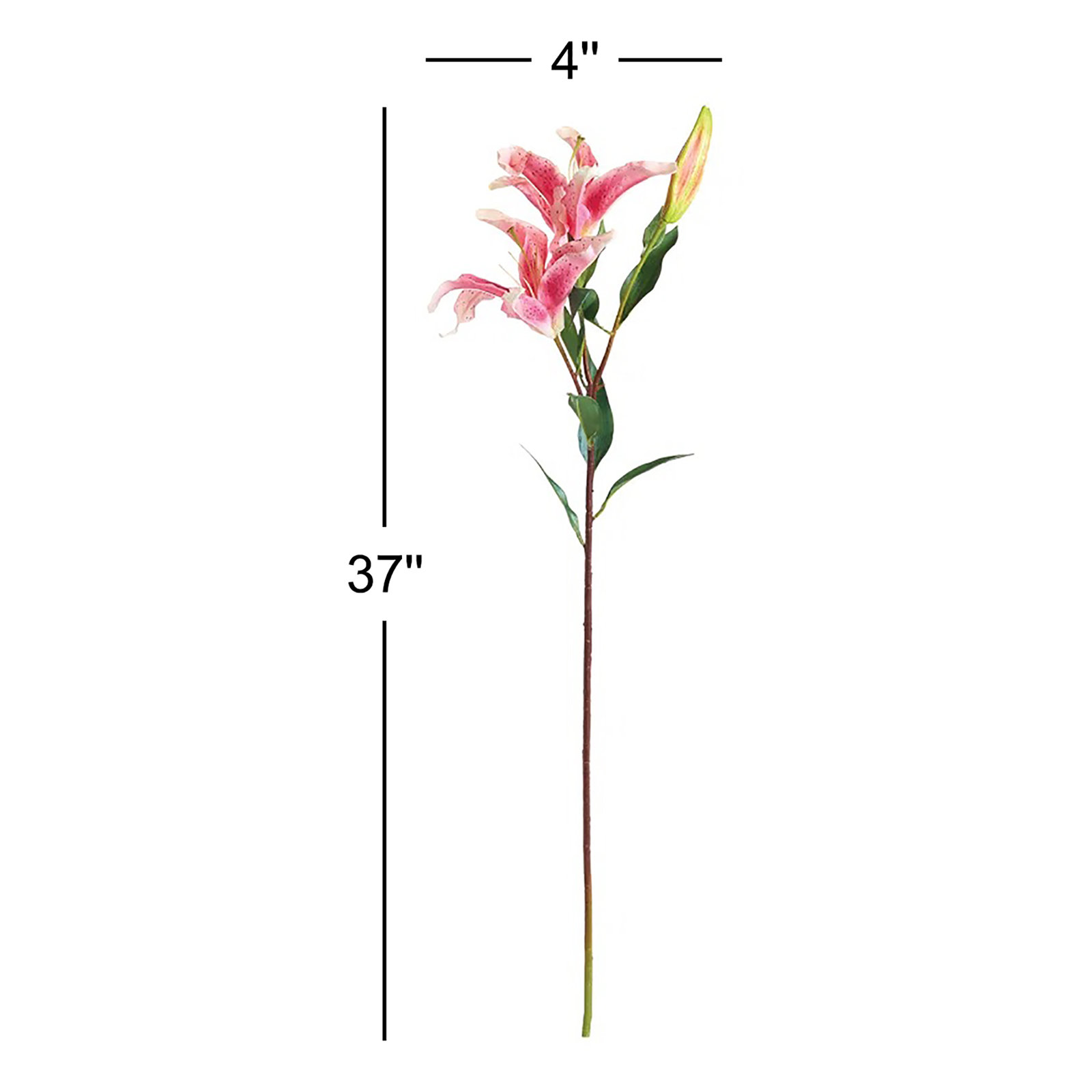 Lily Floral Stems