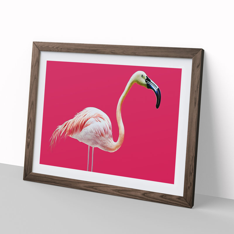 Tranquil Flamingo - Single Picture Frame Print, 25cm H x 34cm W x 2cm D, Walnut Framed