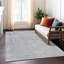 Tapis argenté intérieur / extérieur lavable à la machine Claudian ACN1645-109535397