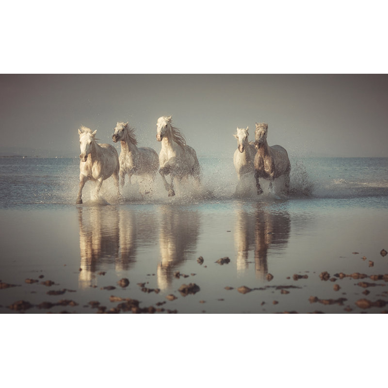 Wrapped Canvas Print, 50.8 cm H x 76.2 cm W