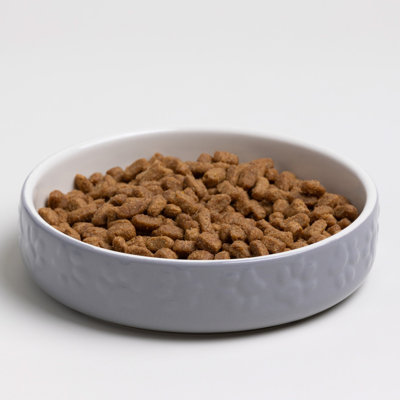 Mason Cash: Paw Print Pet Saucer - Grey - 5.2", 6.8oz - Cat Food-Water Dish, Ceramic Stoneware, Microwave-Dishwasher Safe, Meal Feeding-Hydration