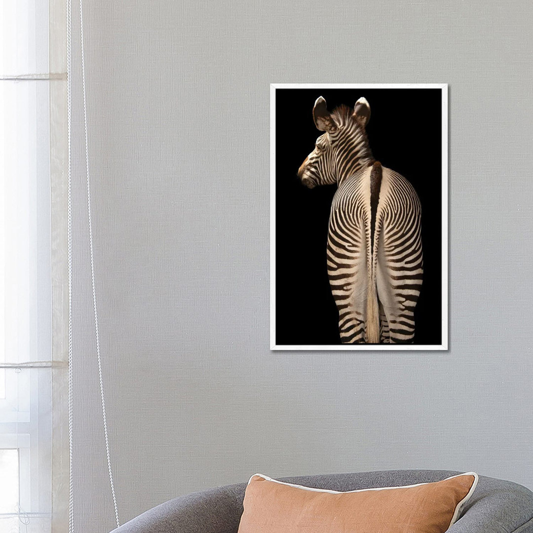 Grevy's Zebra At The Lee G Simmons Conservation Park And Wildlife Safari Near Ashland, Nebraska von Joel Sartore - Galle...