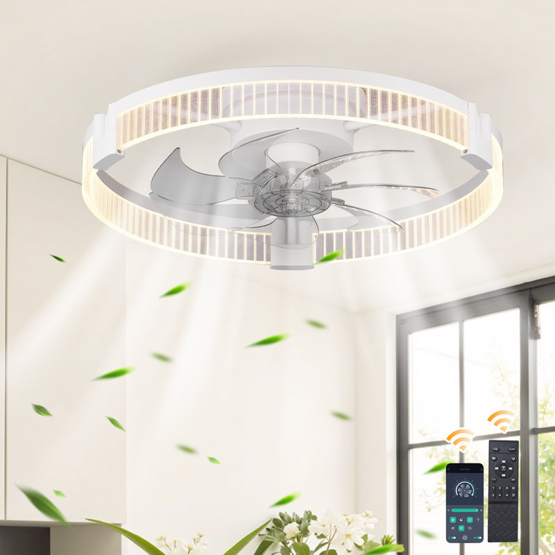 Justino 20“ 6-Speed LED Dimmable Reversible Modern Caged Ceiling Fan With Light And Remote Control